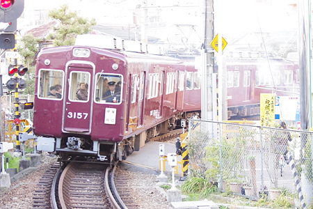 IMGP5420