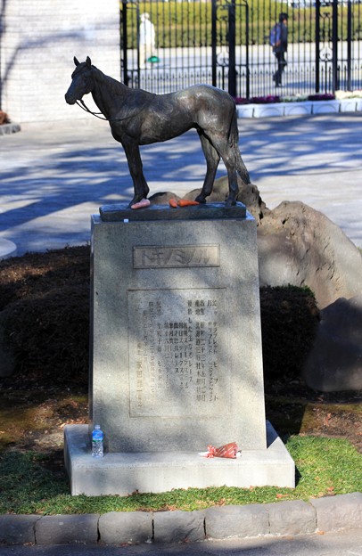 1212 東京競馬場トキノミノル像 写真共有サイト フォト蔵