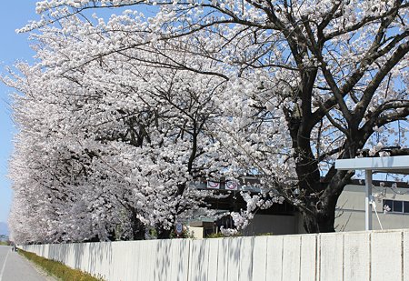 Img_0598