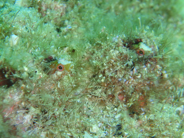 Photos: P8150241