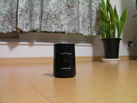 SANY0031
