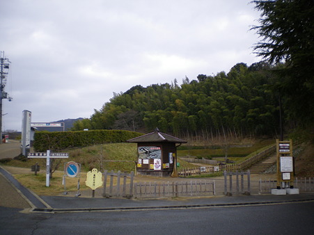 IMGP3923