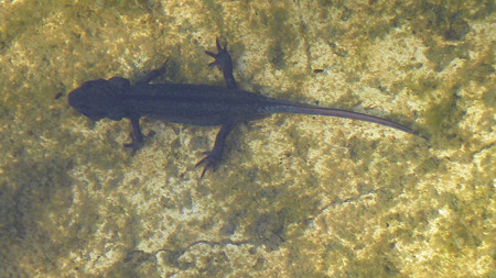 IMGP4829