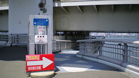 IMGP5037