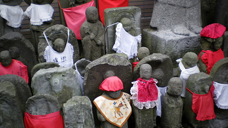IMGP5429