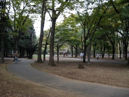 DSCN0973