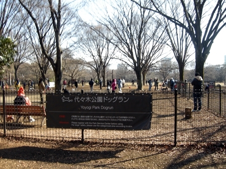 DSCN1700