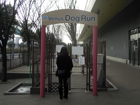 DSCN5657