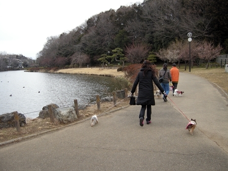 DSCN1984
