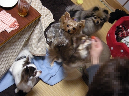 DSCN2058