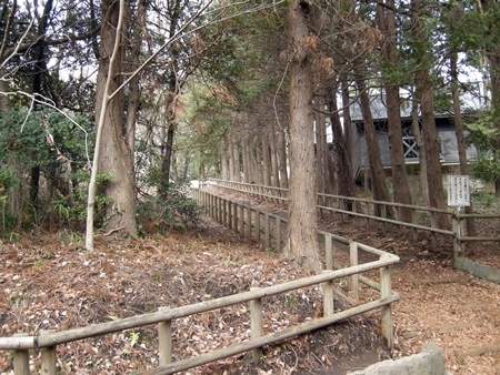 DSCN0195