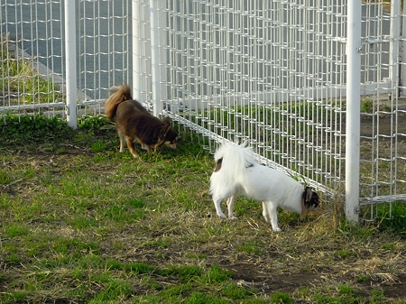 DSCN5362