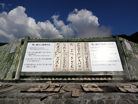 20110828152013_DSC-TX5