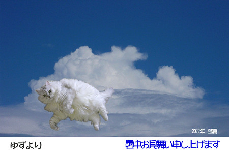 2011ゆず暑中