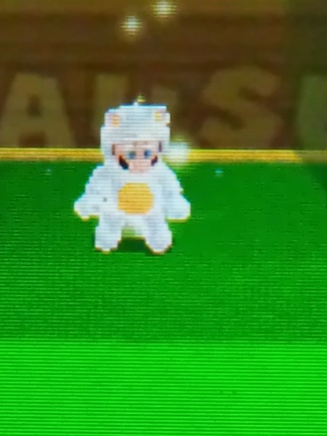 無敵 白いタヌキマリオ 写真共有サイト フォト蔵