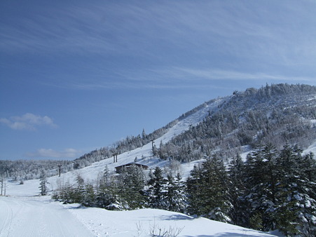 DSCF8909
