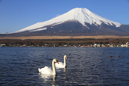 富士山の前でツーショット
