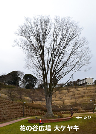 DSC_8914_b