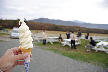 ソフトは必須らしい