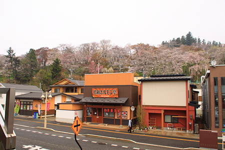 日本のさくら名所百選　烏帽子山公園