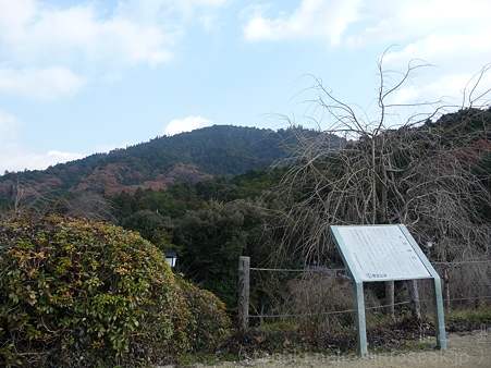 111229-三輪山 大神神社 (18)