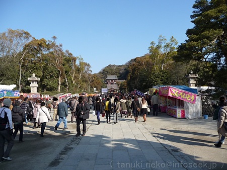 120104-八幡さま (4)