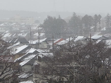 120124-雪 (3)