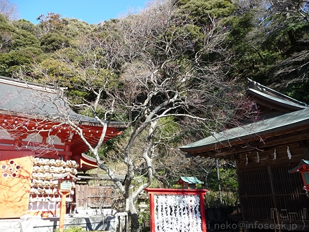 120208-荏柄天神社 (6)