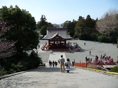 110225-鶴岡八幡宮 (50)