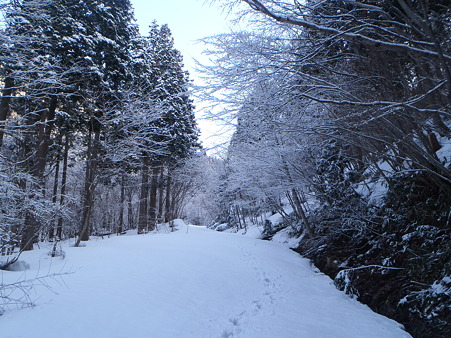 2012032006
