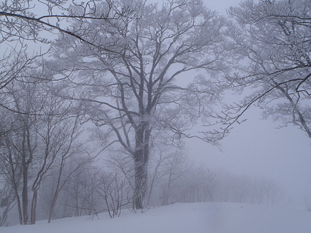 2012040119