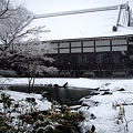 円覚寺方丈20120229