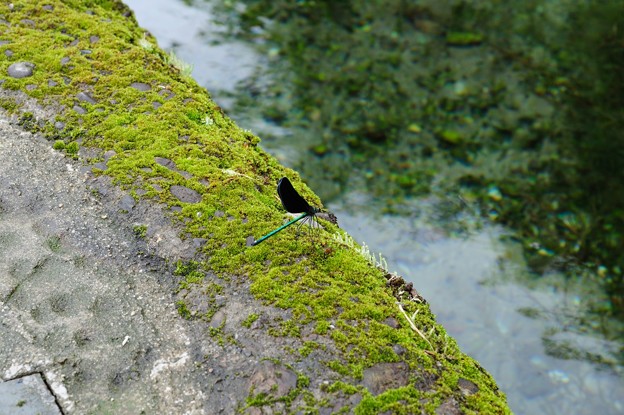 20110713_141603_raw
