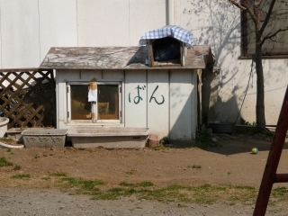 ばん