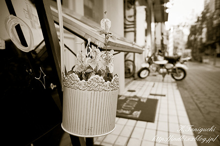 NEX-5 E16 F2.8