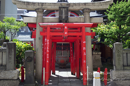 鳥居 NEX-5 FD28 F2.8