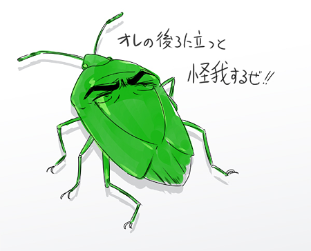 カメムシ カメムシ