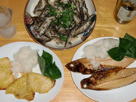 2011.5.28 晩酌肴