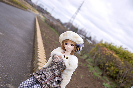 IMGP6078