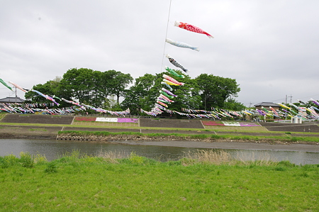 IMGP9395