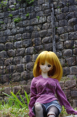 IMGP0593