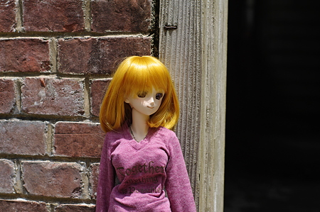 IMGP0556