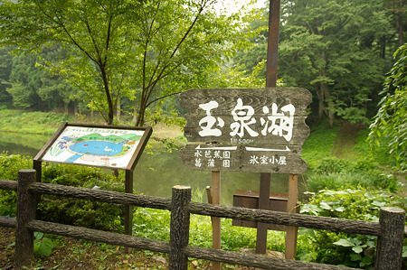 IMGP1788