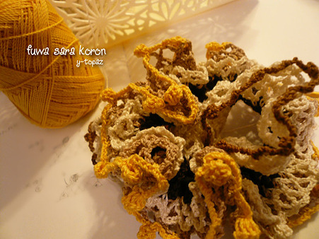 120423_chou_mimosa