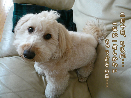 くーかい 3歳の誕生日♪ 1
