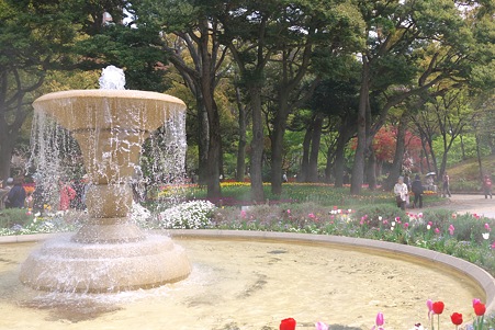 2012.04.19　横浜公園　チューリップ　噴水