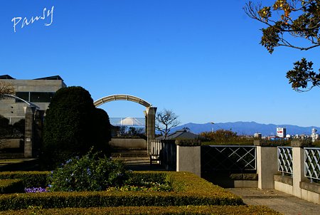 富士山の見える丘・・
