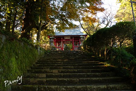 仁王門への石段・・大雄山最乗寺さんぽ・・8