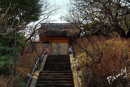 早春の東慶寺にて・・18