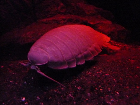P1100120